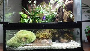 20150627_191137.JPG 20150627_191137.JPG