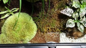 20150627_191151.JPG 20150627_191151.JPG