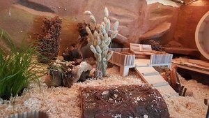 11655251_10153513527934078_1411920648_n.jpg 11655251_10153513527934078_1411920648_n.jpg