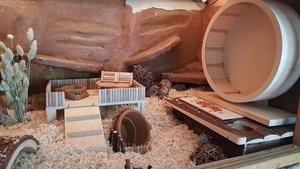 11693177_10153513528049078_1238335972_n.jpg 11693177_10153513528049078_1238335972_n.jpg