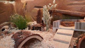 11694069_10153513527874078_1595606023_n.jpg 11694069_10153513527874078_1595606023_n.jpg