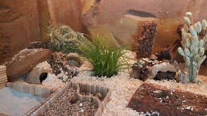 11694077_10153513527999078_300444822_n.jpg 11694077_10153513527999078_300444822_n.jpg