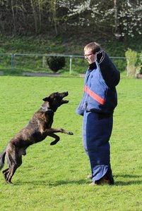 IMG_1493.JPG IMG_1493.JPG