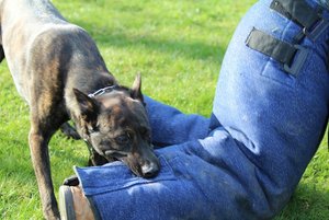 IMG_1514.JPG IMG_1514.JPG