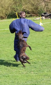 IMG_1412.JPG IMG_1412.JPG