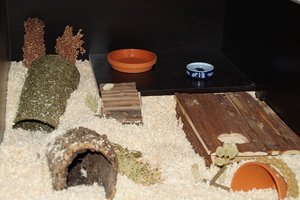 DSC03902.jpg DSC03902.jpg