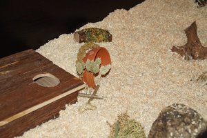 DSC03903.jpg DSC03903.jpg