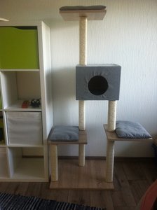 IMG_6069.JPG IMG_6069.JPG