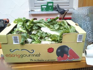 DSC_0278-744x558.jpg DSC_0278-744x558.jpg