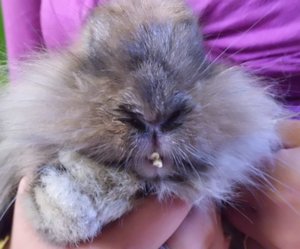 b8e65a8262f4dfc0164f2720ee4772d3.jpg b8e65a8262f4dfc0164f2720ee4772d3.jpg