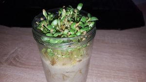 2015-08-03 17.39.18.jpg 2015-08-03 17.39.18.jpg