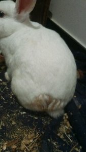 uploadfromtaptalk1439152477012.jpg uploadfromtaptalk1439152477012.jpg