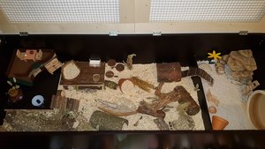 2015-08-07 20.50.47.jpg