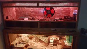 2015-08-22 22.23.09.jpg