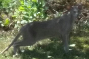 11895238_939950072718242_3637091310910125505_o_Fotor.jpg 11895238_939950072718242_3637091310910125505_o_Fotor.jpg