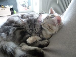 P1070035_zpsfdyxtuqc.jpg P1070035_zpsfdyxtuqc.jpg