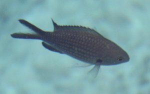 IMG_2188.JPG IMG_2188.JPG