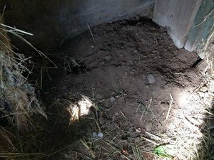 Tiergesucht2_resize.jpg Tiergesucht2_resize.jpg