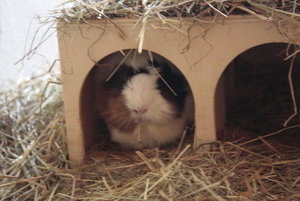 C__Data_Users_DefApps_AppData_INTERNETEXPLORER_Temp_Saved Images_21364491ny.jpg C__Data_Users_DefApps_AppData_INTERNETEXPLORER_Temp_Saved Images_21364491ny.jpg