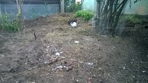 WP_20140515_001.jpg WP_20140515_001.jpg