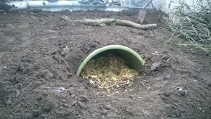 WP_20140515_003.jpg WP_20140515_003.jpg