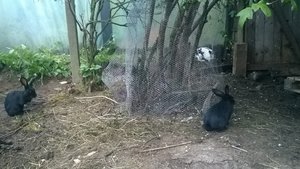 WP_20140515_004.jpg WP_20140515_004.jpg