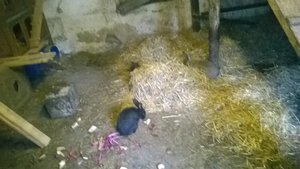 WP_20140515_006.jpg WP_20140515_006.jpg