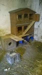 WP_20140515_007.jpg WP_20140515_007.jpg