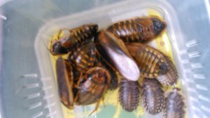 DSC_0463.JPG DSC_0463.JPG