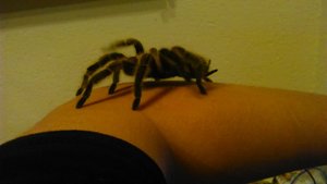 DSC_0870.JPG DSC_0870.JPG