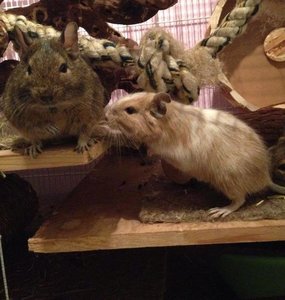 23769127ko.jpg 23769127ko.jpg