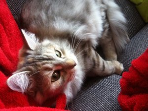 IMG_6646.JPG IMG_6646.JPG