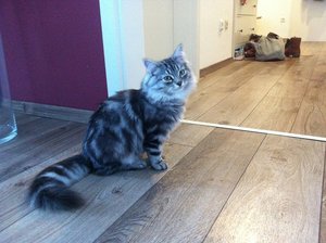 IMG_6587.JPG IMG_6587.JPG