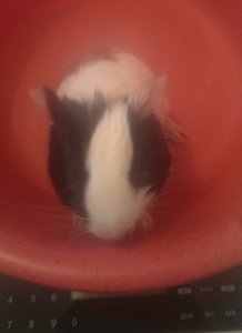 IMAG0273.jpg IMAG0273.jpg