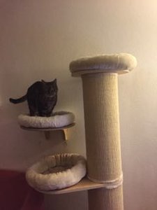 3664323464306364.jpg 3664323464306364.jpg