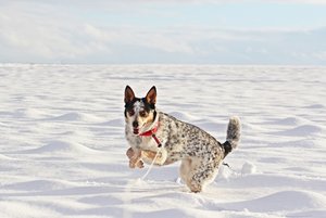 1zvfx9w.jpg 1zvfx9w.jpg