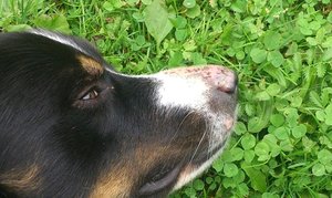 IMG-20151005-WA0000.jpg IMG-20151005-WA0000.jpg