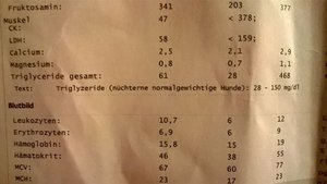 IMG-20160117-WA0003(1).jpg IMG-20160117-WA0003(1).jpg