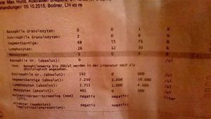 IMG-20160117-WA0004(1).jpg IMG-20160117-WA0004(1).jpg