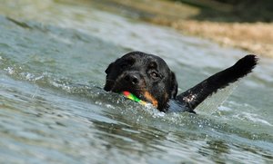 lVpfB54.jpg lVpfB54.jpg