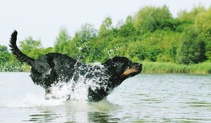 EwdI9Ps.jpg EwdI9Ps.jpg