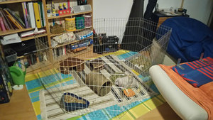 hermine_gehege.jpg hermine_gehege.jpg