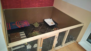 Merlin_gehege.jpg Merlin_gehege.jpg