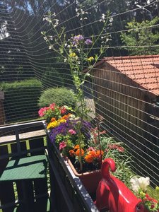 6534636437346339.jpg 6534636437346339.jpg