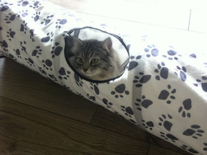 IMG_6937_zpsmatq9vvg.jpg IMG_6937_zpsmatq9vvg.jpg