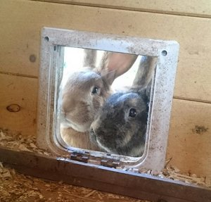 DSC_1812~01.jpg DSC_1812~01.jpg