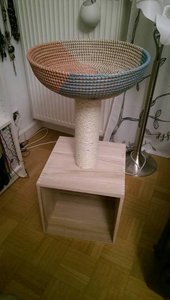 12832463_1018098651570977_683087289531689627_n.jpg 12832463_1018098651570977_683087289531689627_n.jpg