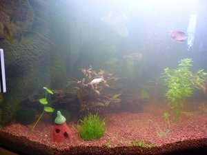 P1000882.JPG P1000882.JPG