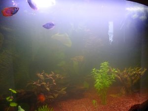 P1000884.JPG P1000884.JPG