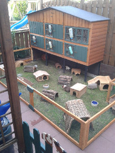 klein 2015-06-29 20.15.52.jpg klein 2015-06-29 20.15.52.jpg